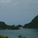 Willy Ang Photo 8