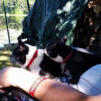 Cheryl Arsenault Photo 17