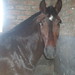 Juan Lucero Photo 6