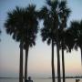 Terri Mayes Photo 15