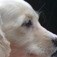 Gayle Valiant Photo 2