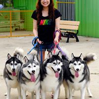 Monica Tam Photo 22