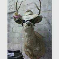 Rudy Moody Photo 1