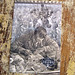 Kathy Armstrong Photo 2