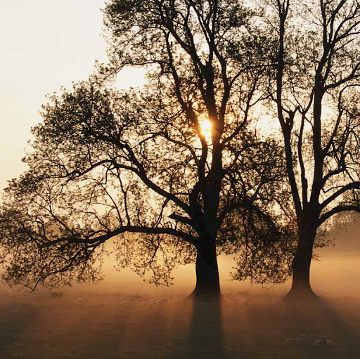 Benjamin Horst Photo 10