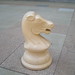 Roger White Photo 4