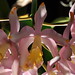 Margie Bell Photo 6