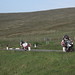 Daniel Jenson Photo 5