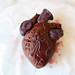Angela Parr Photo 9
