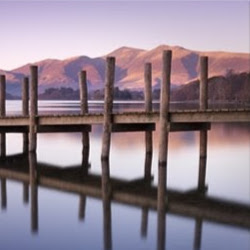 Mark Forrest Photo 41