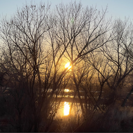 Forrest Evans Photo 21