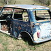 Shelley Cooper Photo 9