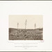 Mary Partridge Photo 6