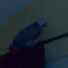 Mandy Bird Photo 12