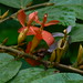 Dinesh Salian Photo 6