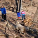 Bobbie Stephens Photo 13