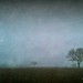 Peter Ansell Photo 7