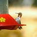 Anna Kerns Photo 6