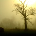 Misty Hays Photo 8