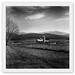 David Finks Photo 7