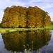 James Beech Photo 5