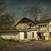 Howard Dawson Photo 14