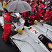 Allan Petit Photo 7