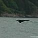Steven Fluke Photo 8