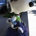 Janet Allen Photo 6
