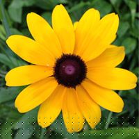 Terry Ward Photo 18