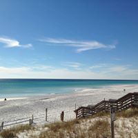Susan Boyd Photo 38