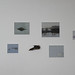Sara Harwood Photo 9