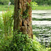 Benjamin Pond Photo 3