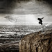 David Sauter Photo 11
