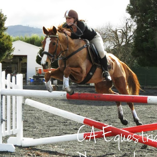 Hayley Moore Photo 23