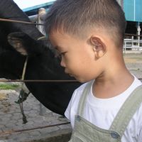 Nicolas Tan Photo 6