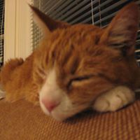 Stephen Laborde Photo 10