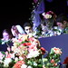 Milton Torres Photo 16