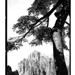Jay Huang Photo 11