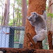 Casey Miles Photo 9