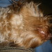 Frank Slack Photo 4