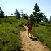 Alan Cohn Photo 17