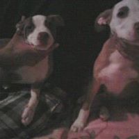 Joseph Ugalde Photo 9