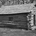 Dennis Montgomery Photo 13