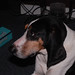 Brandon Coons Photo 5