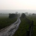 Raven Roe Photo 2