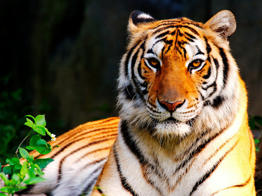 Balaji Loganathan Photo 14