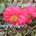 Kelsey Rosa Photo 2