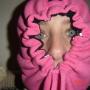 Katie Hurt Photo 18