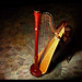Caroline Coles Photo 12